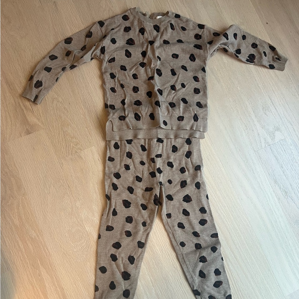 Next cheetah set